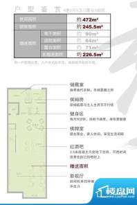 长兴秀江南C1户型地面积:245.00平米