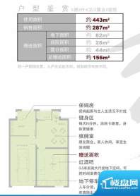 长兴秀江南B3户型地面积:287.00平米