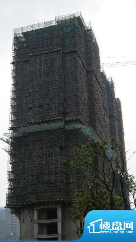 常发香城湾三期7#楼工程进度实景(2012.