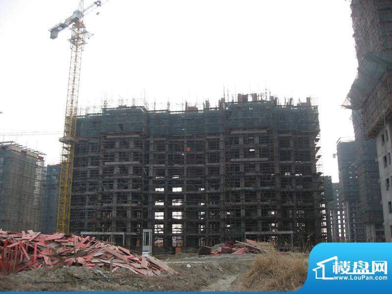 恒盛豪庭9#楼工程进度（20110215）