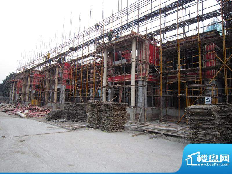 金鼎湾国际6#楼工程进度（20101202）
