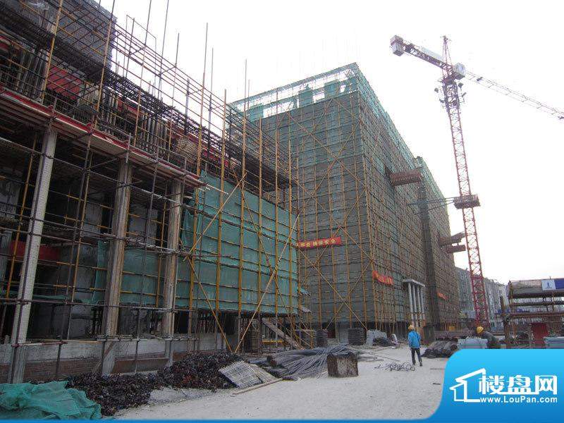 金鼎湾国际5#、6#楼工程进度（20101202