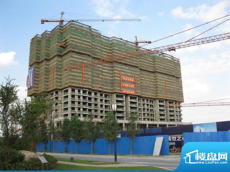 润华国际中心公寓部分施工进度（2010.1