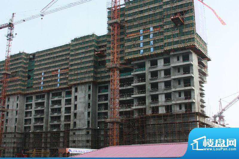 润华国际中心铂金公寓施工进度（2010.1