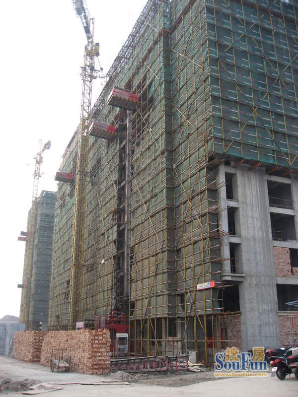 文华名邸8号、9号楼工程进度（20110215