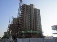 绿城玉兰公寓施工进度实景（20110916）