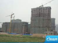 左岸·尚海湾工程进度实景图（2012.02）