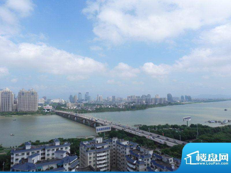 从样板房俯瞰东江大桥
