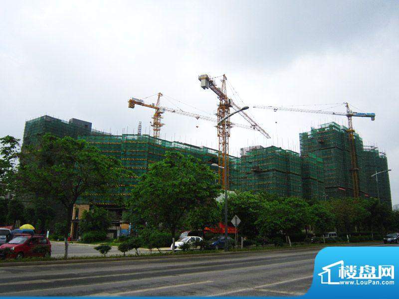 碧园大城小院四期工程进度（2012.05.19