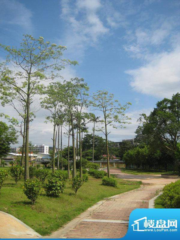 鸿泰名庭小区园林实景（2011.06.23）