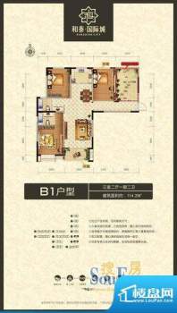 和泰·国际城B1户型面积:114.20m平米