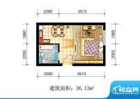 苹果公寓户型3 1室1面积:36.13m平米