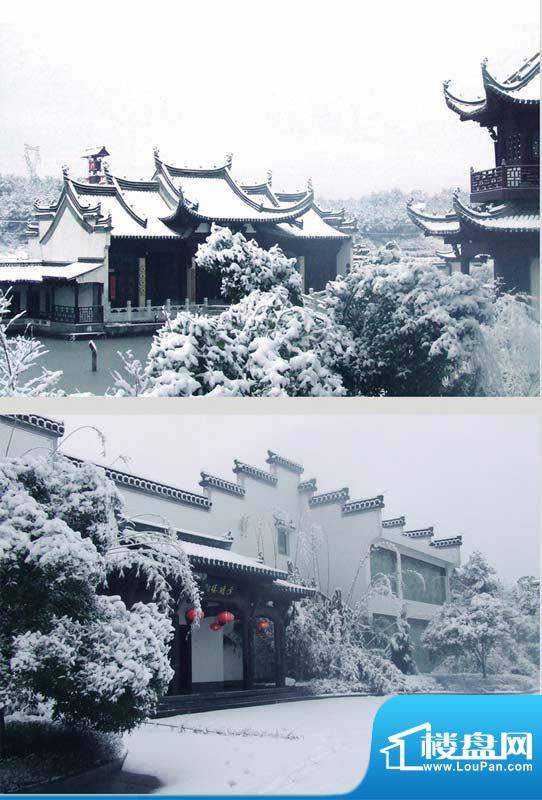 徽州文化园雪景（2011-07-06）
