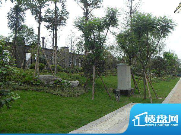 嘉州长卷·天玺项目外墙绿化（2012.06.