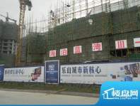 嘉州新城·海泊蓝湾3外墙面（2012.4.16