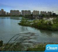 滨湖国际社区三期临河远眺（2012.09.17