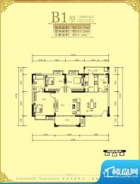 凯旋城B1户型 3室2厅面积:120.76m平米