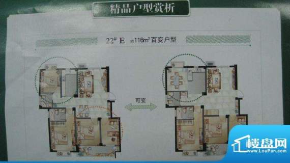 奥林晴园实景图