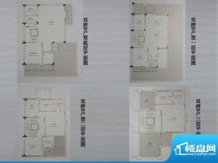 城开御园双拼B户型 面积:308.00平米