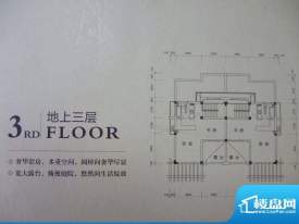 长岛一墅A户型面积:289.00平米