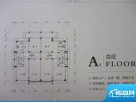 长岛一墅A户型面积:289.00平米