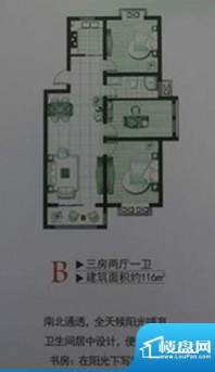 桃源居B户型 3室2厅面积:116.00平米