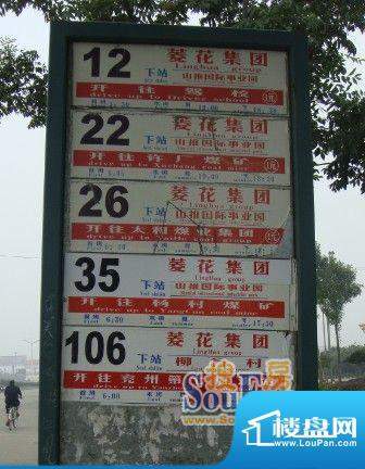 杨柳国际新城交通图