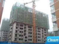 新方新怡园高层住宅工程实景图(2012101
