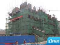 翡翠明珠3号楼施工实景图（20111104）