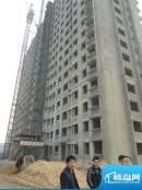 虞河苑11号楼施工进度实景图（20101222