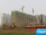 怡和四季园筑高层施工实景图（20120320