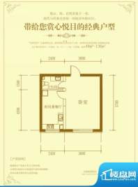 依海芳洲户型图 1室面积:49.12m平米