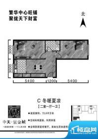 中天·紫金城C户型2面积:72.80平米