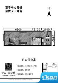 中天·紫金城F户型公面积:45.10平米