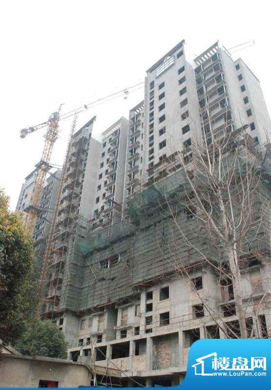 东华鑫城项目在建高层
