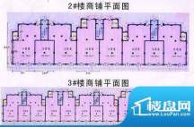 盛世·龙凤花苑商铺平面图