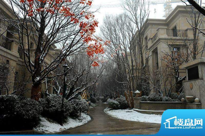 远洋天著二期样板间雪景外景图201201