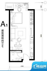 正源广场A1户型 1室1卫1厨面积:51.00平米