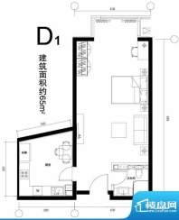 正源广场D1户型 1室1厅1卫1厨面积:65.00平米