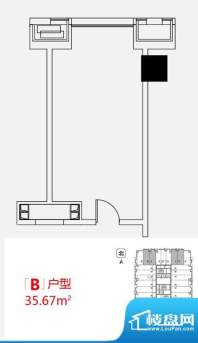 小悦城B户型开间 面积:35.67平米