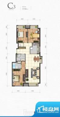 芭蕾雨·悦都C3户型图 3室2厅2面积:119.86平米