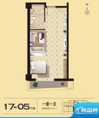 易居国际17-05户型 1室1厅1卫1面积:54.26平米