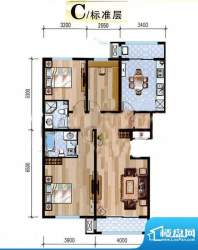 悦泽苑C户型图 3室2厅2卫1厨面积:120.00平米