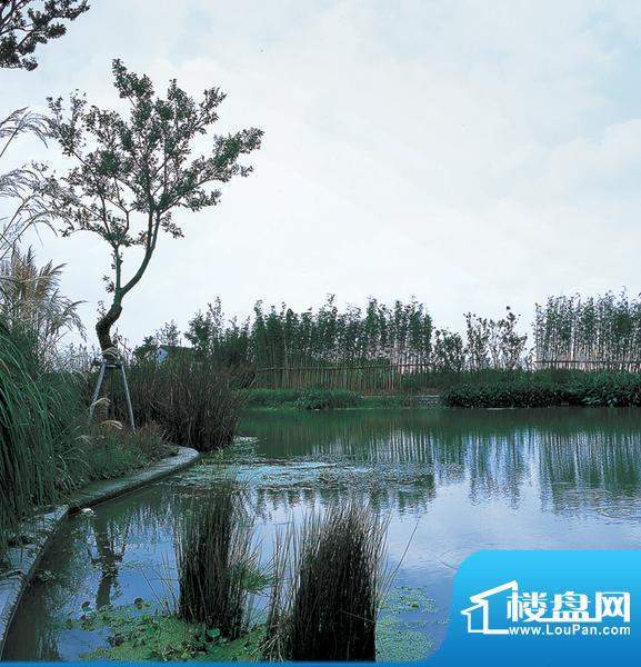 龙湖滟澜山二期香醍半岛小区景观(2009.