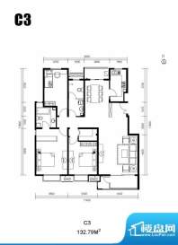 水墨林溪C3户型图 3室2厅2卫1厨面积:132.79平米