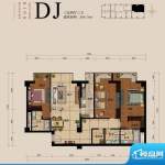德胜君玺DJ户型 3室2厅3卫1厨面积:266.75平米