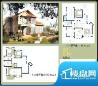 西郊庄园户型图 3室3厅3卫1厨