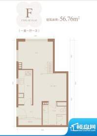 三元国际公寓F户型 1室1厅1卫1面积:56.76平米