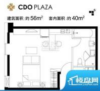 设计师广场C21户型1室1卫1厨56面积:56.00平米