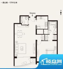 棕榈泉白金公寓1居户型 1室2厅面积:125.00平米